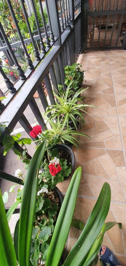 Casa Rural El Puente Таганана Екстериор снимка
